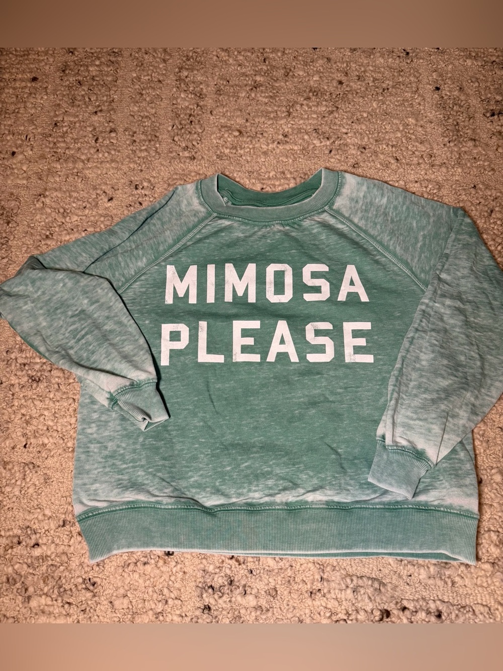 Mint Green Recycled Karma Crewneck